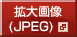 拡大画像（JPEG）