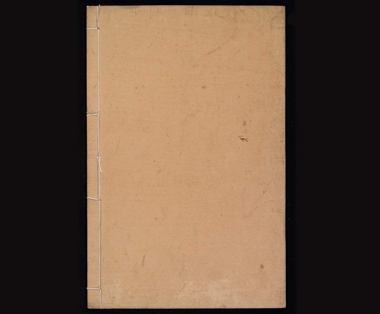 新約聖書提摩太前後書　提多書　審利門書（テモテへの第一の手紙、テモテへの第二の手紙、テトスへの手紙、ピレモンへの手紙）の画像（大）　0030/0030