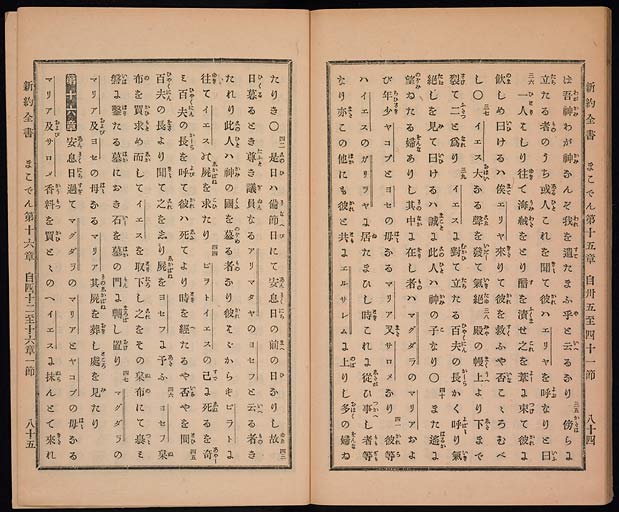 新約聖書馬可伝（マルコによる福音書）の画像（中）　0044/0047
