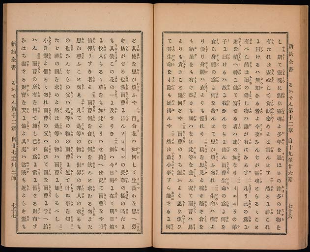 新約聖書路加伝（ルカによる福音書）の画像（中）　0040/0074