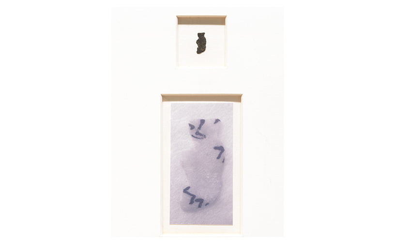 slide image1