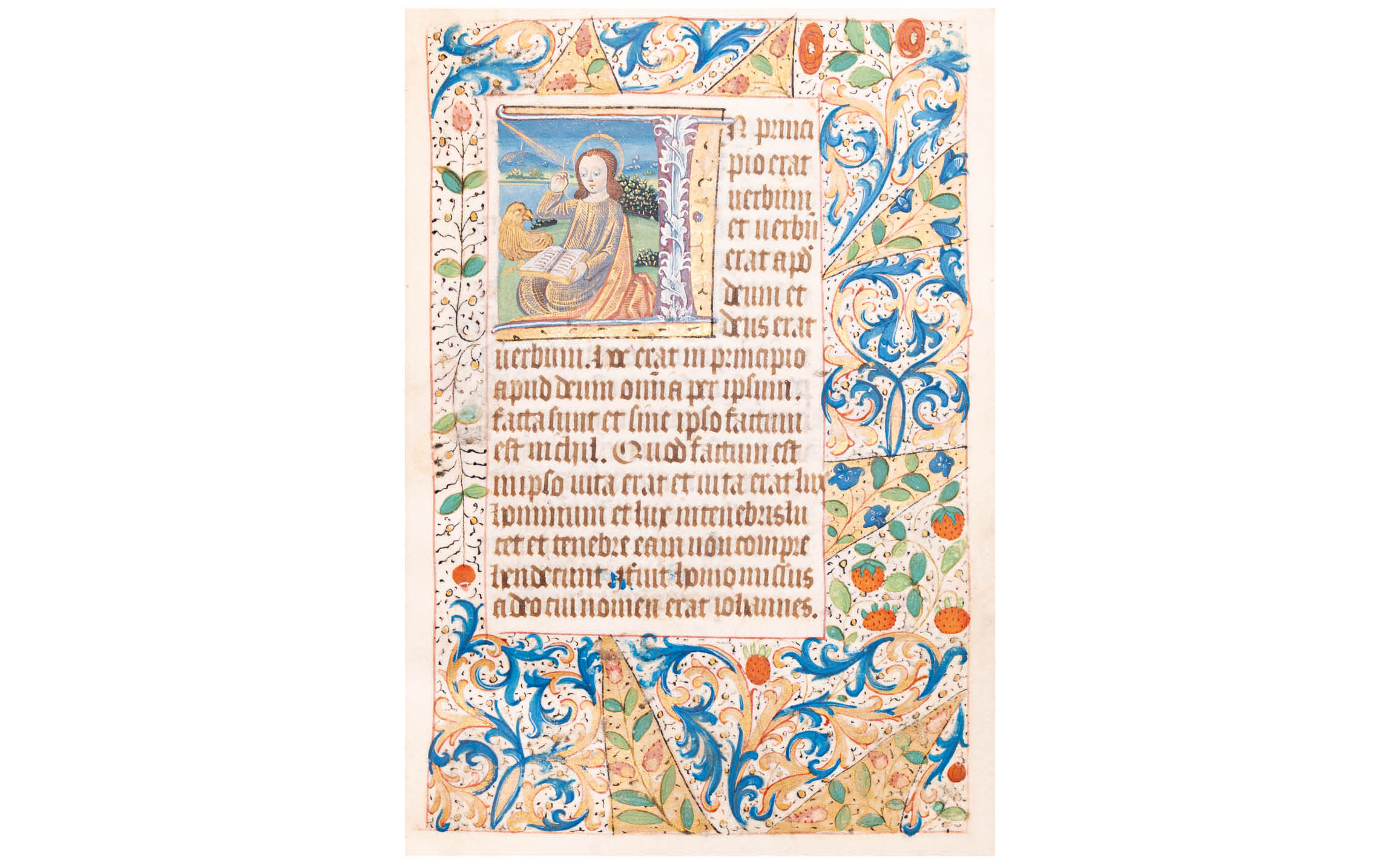 slide image1