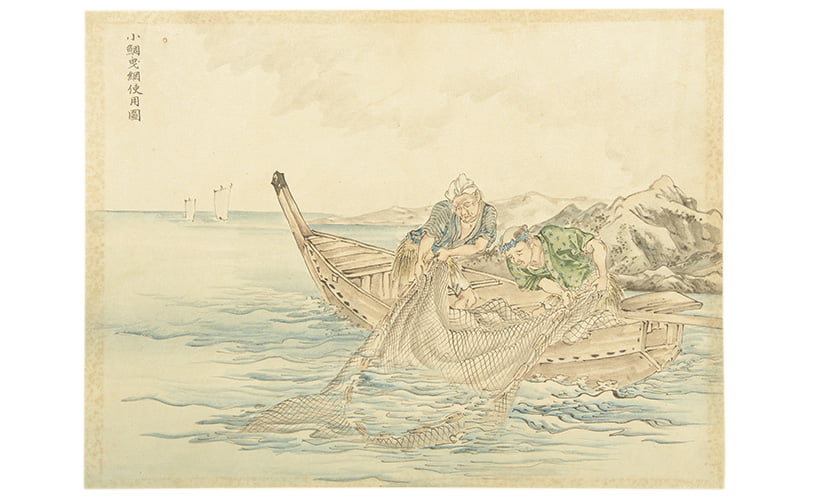 slide image1