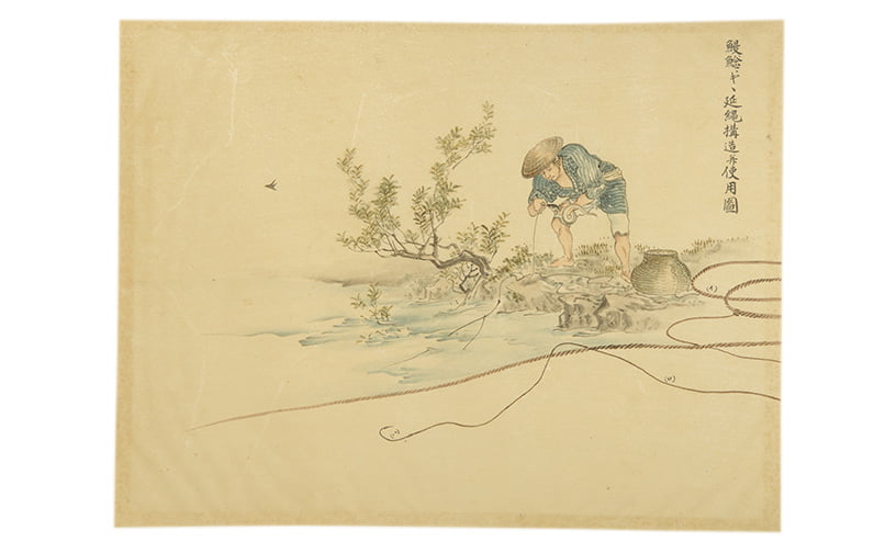slide image3